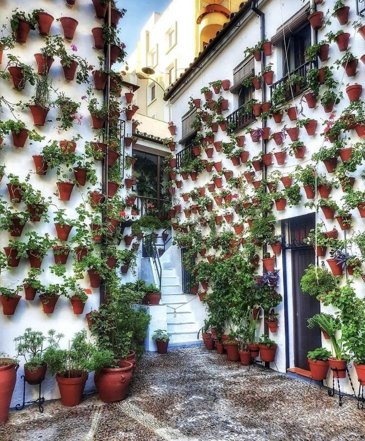 Apartamentos El Alcazar Viejo Kordoba Zewnętrze zdjęcie