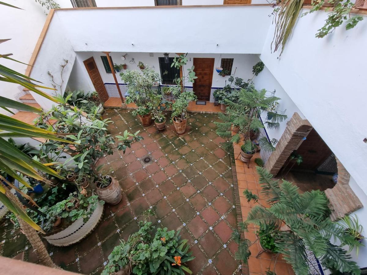 Apartamentos El Alcazar Viejo Kordoba Zewnętrze zdjęcie