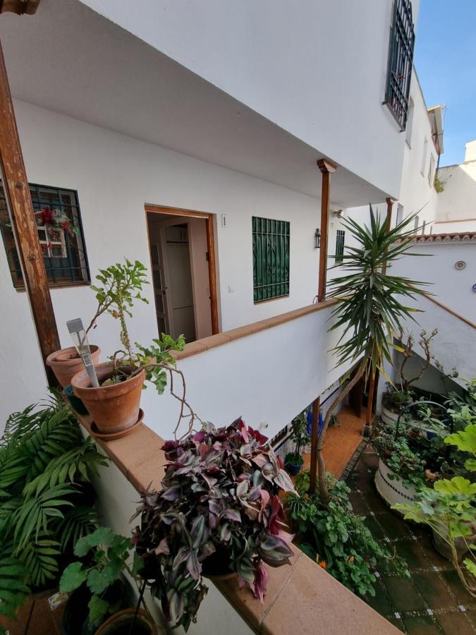 Apartamentos El Alcazar Viejo Kordoba Zewnętrze zdjęcie